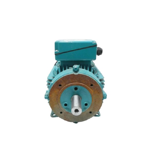 Brook Crompton WP-DA100LTF-C4 三相感应电动机