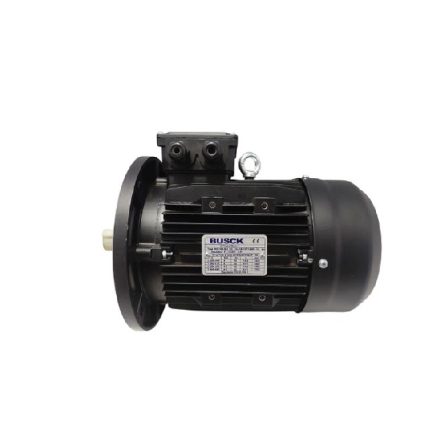 Busck MS 100LB-4 B5 三相异步电动机
